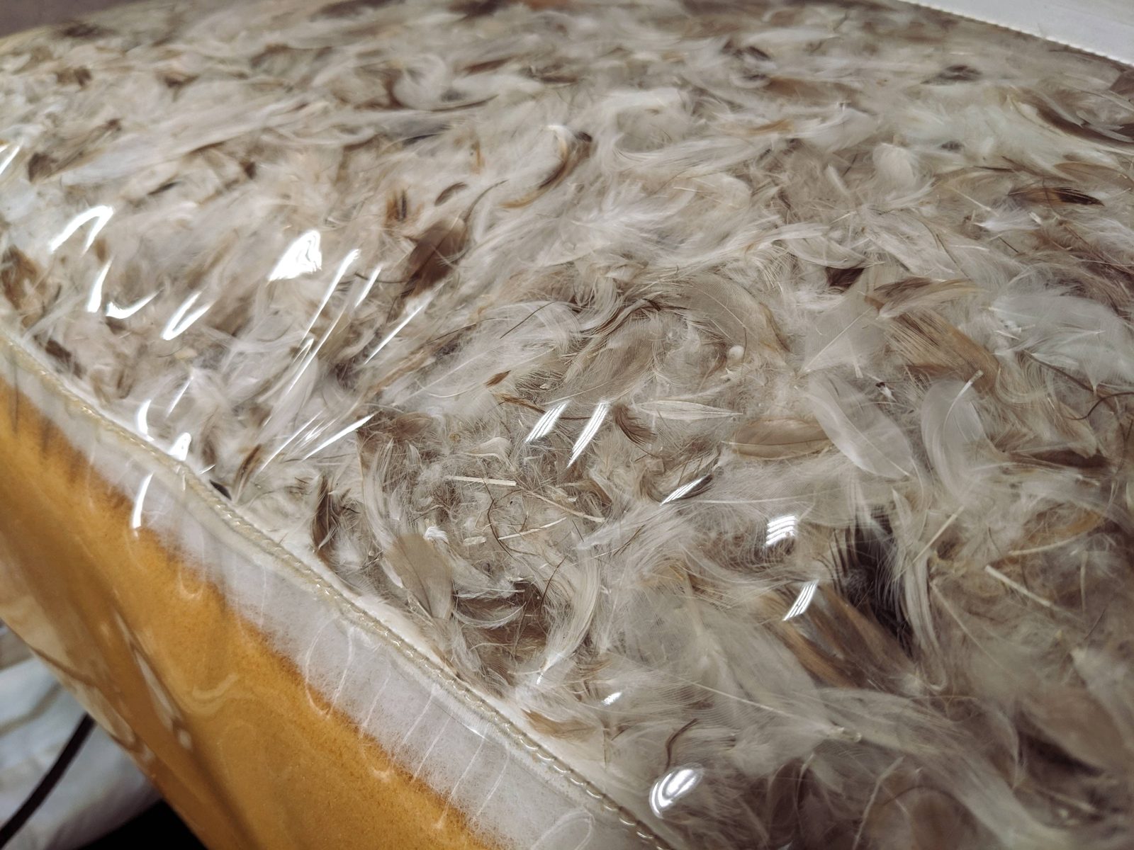 A layer of down on top of golden foam inside a cushion bag